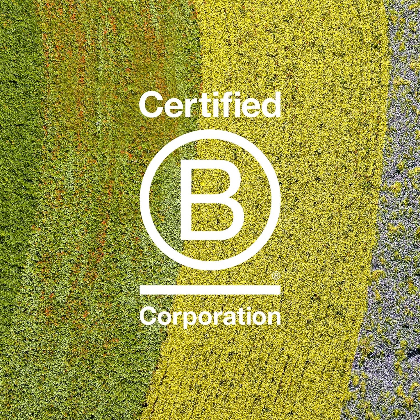 Davines LOVE Curl Shampoo | Wavy & Curly Hair Shampoo | Smooth and Moisturize Curls with Almond Extract | 8.45 fl oz