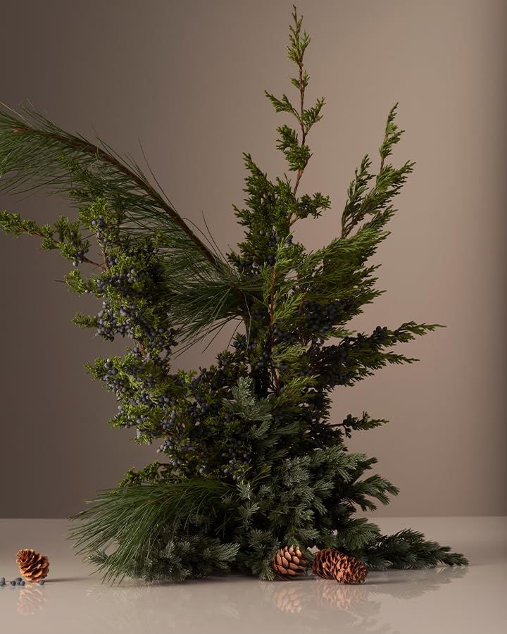 Homecourt Hand Cream, Non-Greasy Moisturizer for Hydrated, Nourished & Soft Hands, Dermatologist Tested, Clean Formula, Balsam Fireplace, 12 fl oz