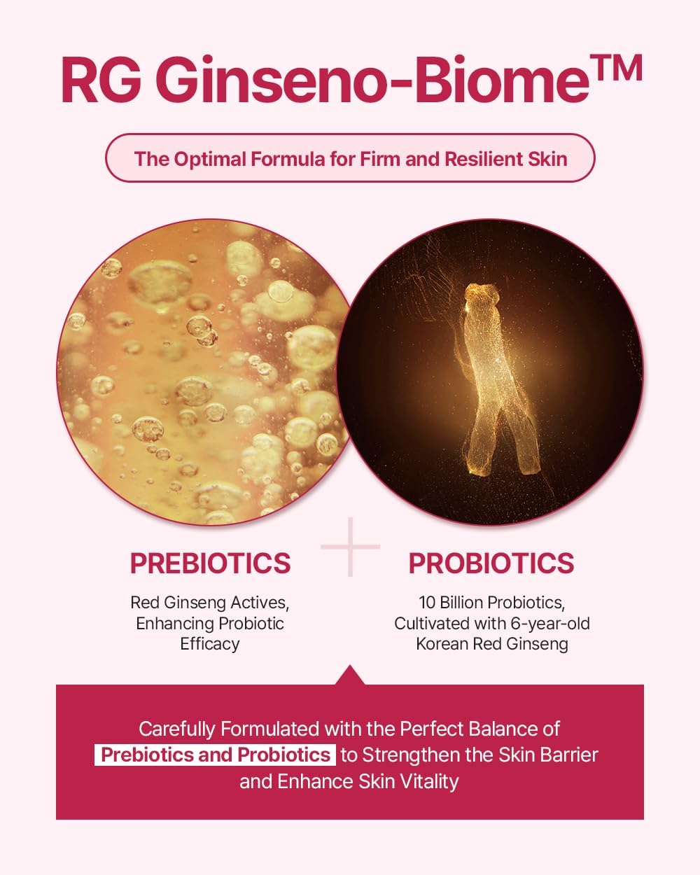 Donginbi Red Ginseng Daily Defense Essence - Firming & Skin Barrier Repair Serum for Dry Skin, Korean Red Ginseng Essence, Korean Skin Care Gifts for Women, 1.01 floz / 30ml