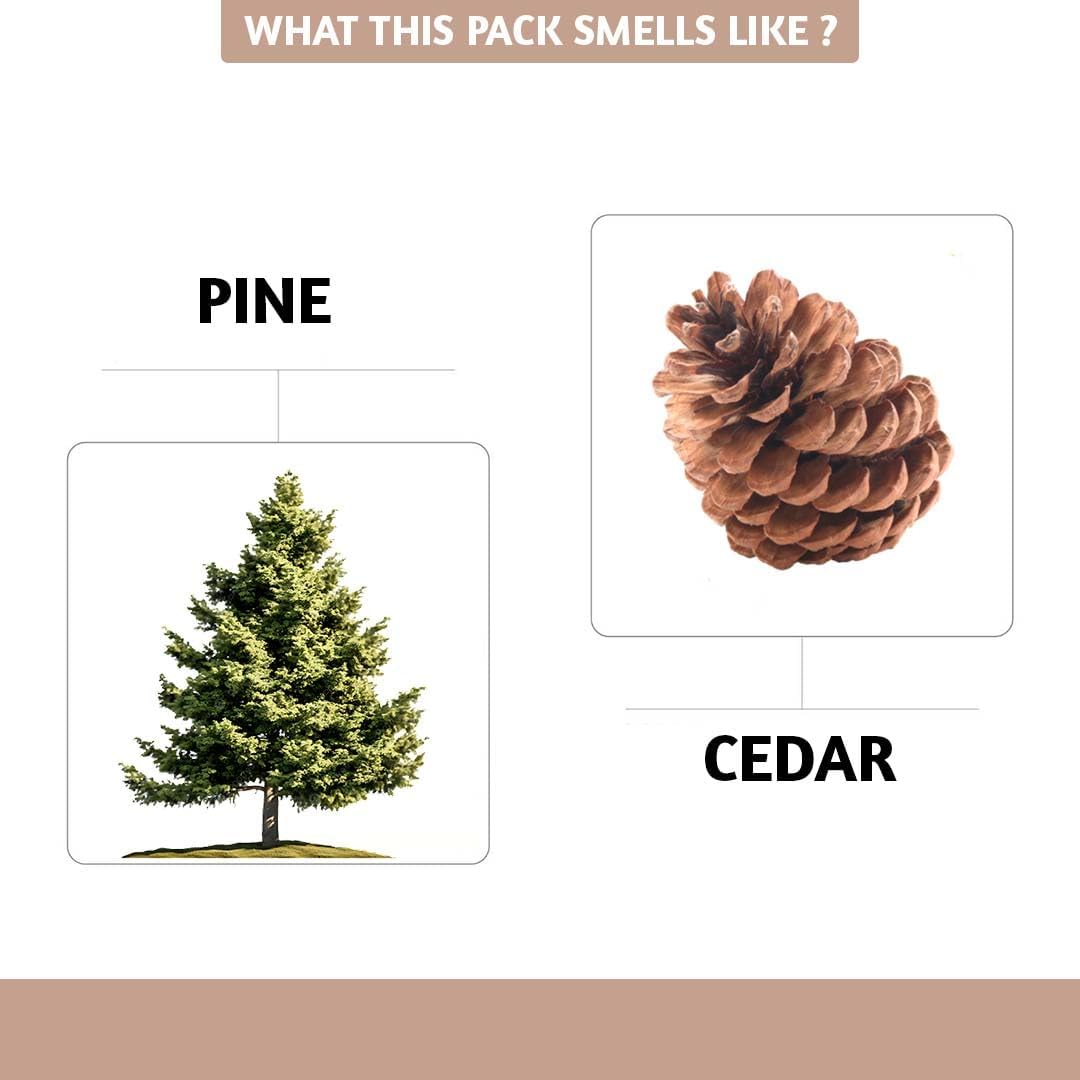 Folkulture Incense Cones for Waterfall | 20 Pc Incense Cone Scented | 2 Fragrance Cone-Insenses - Pine & Cedar | Natural, Non Toxic | Pine & Cedar Inscents-Cones | Relaxing, Meditation, Spiritual