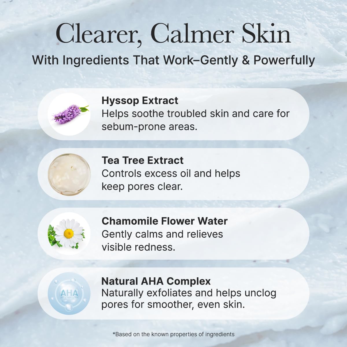 Hyssop Sebum Control Rice Cake Cleanser, 5.29 oz, AHA Tea Tree Face Wash for Oily Combination Skin