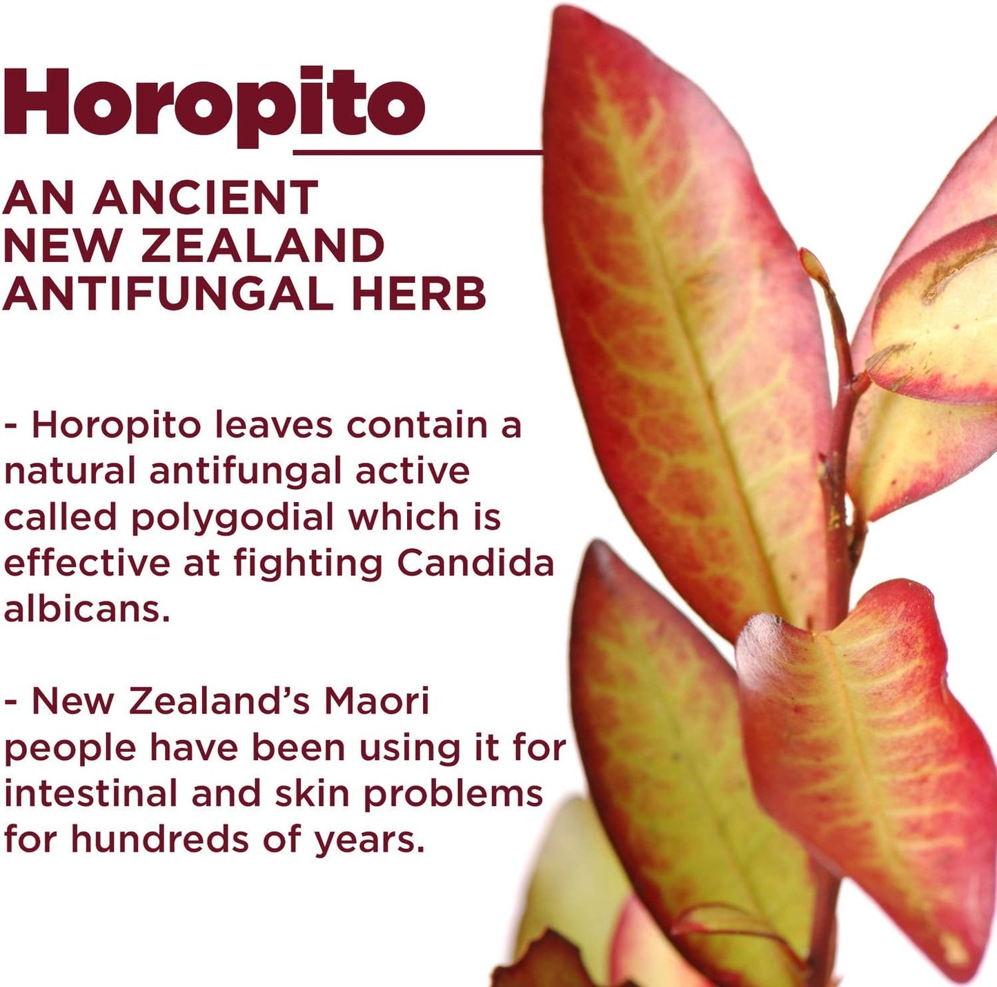 Kolorex® KOLSORE Lip Care Ointment