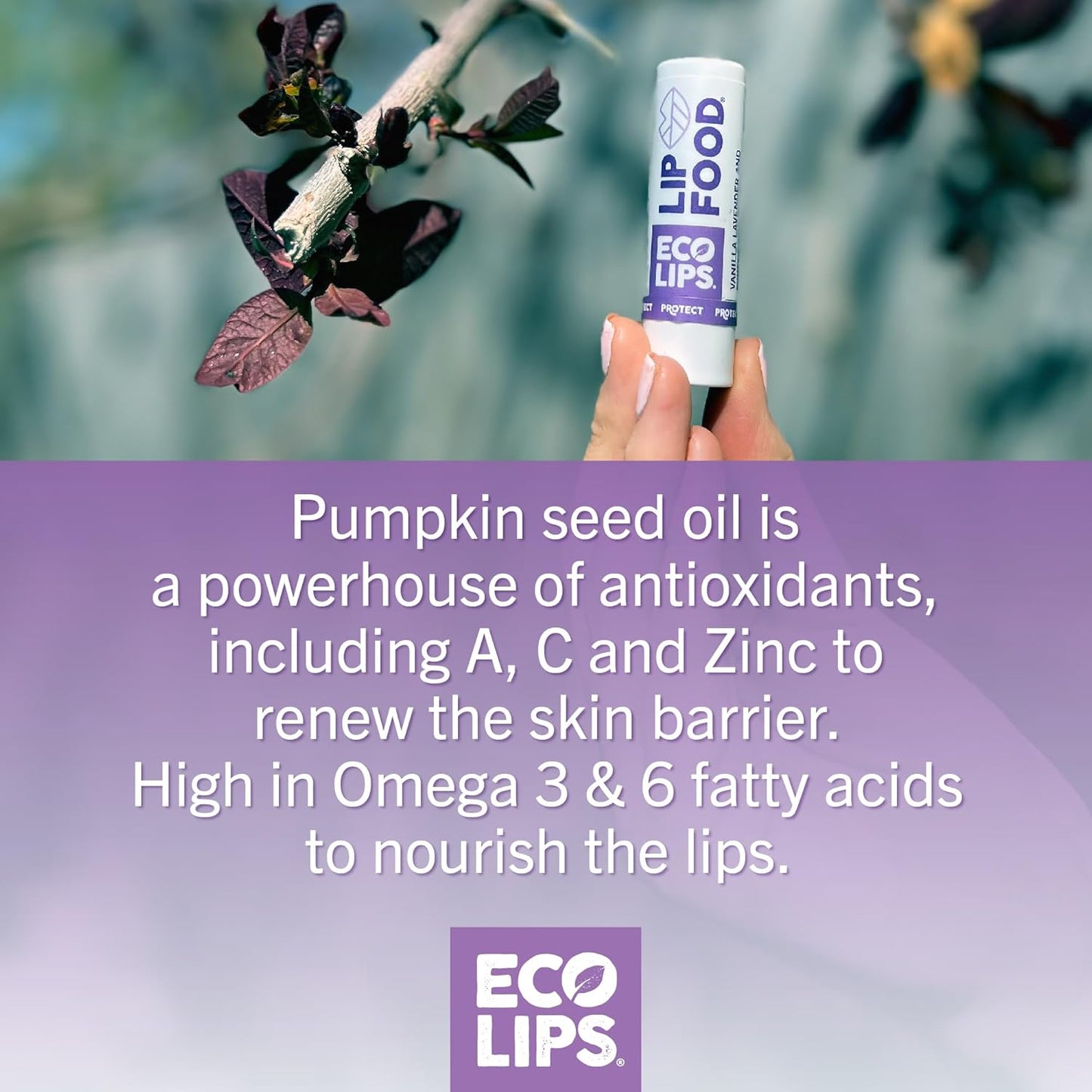 Eco Lips Lip Food - Nutrient Dense & Organic Lip Balm (Protect) - Lavender & Vanilla 3-pack