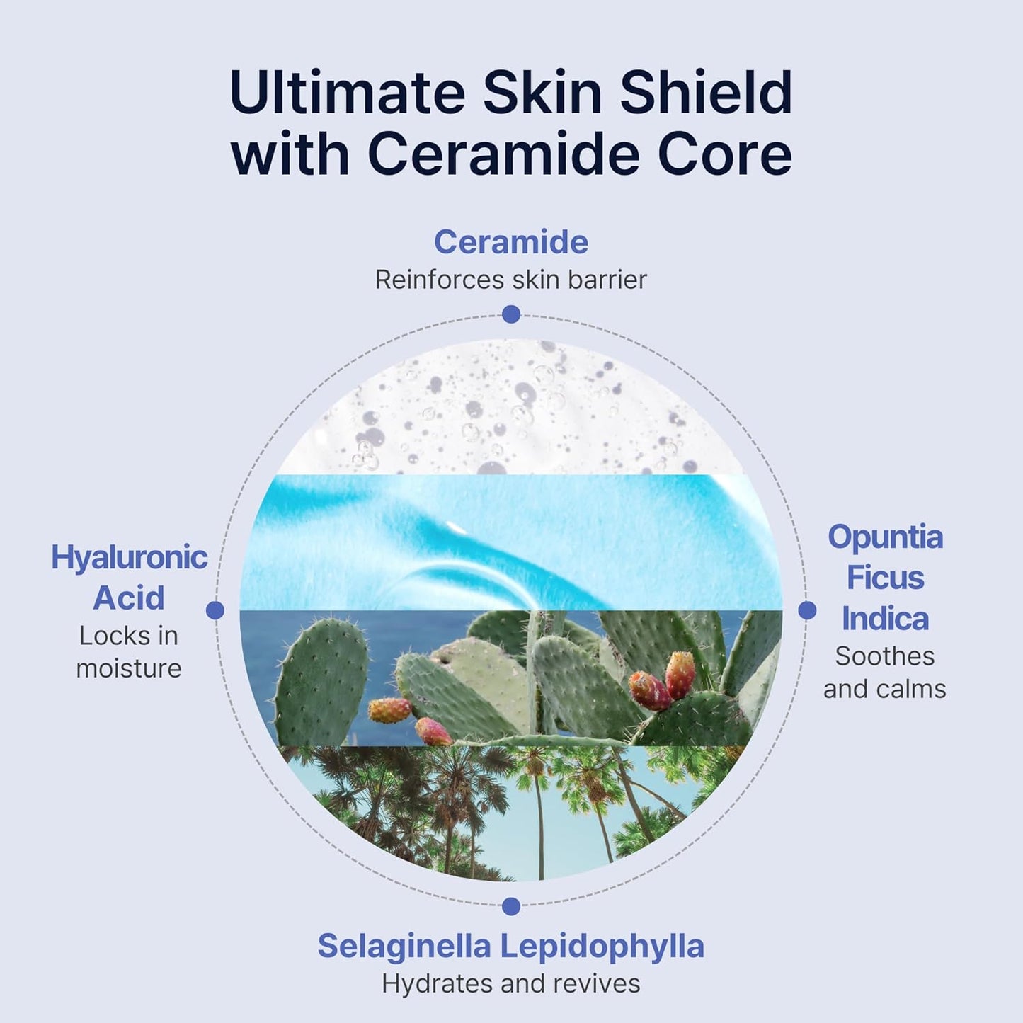 DaseuL’ Perfect Sleep Super Barrier Cream 1.69fl.oz, Dense Ceramide Sleep Balm for Strengthening Skin Barrier, Soothing Irritation & Restoring Hydration Overnight Korean Facial Moisturizer