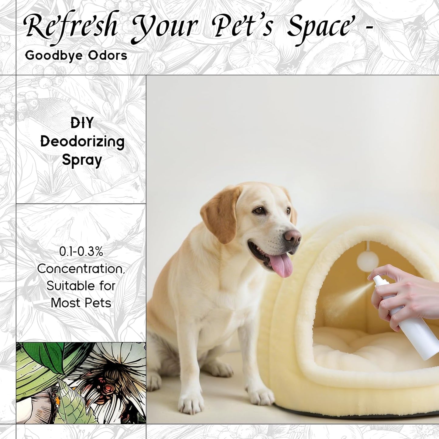 HIQILI Aqueous Bloom Fragrance Oil for Diffusers, Black Currant Leaf‌ & Jasmine, Candles & Soap Making, Long-Lasting Scent - 1 Fl Oz