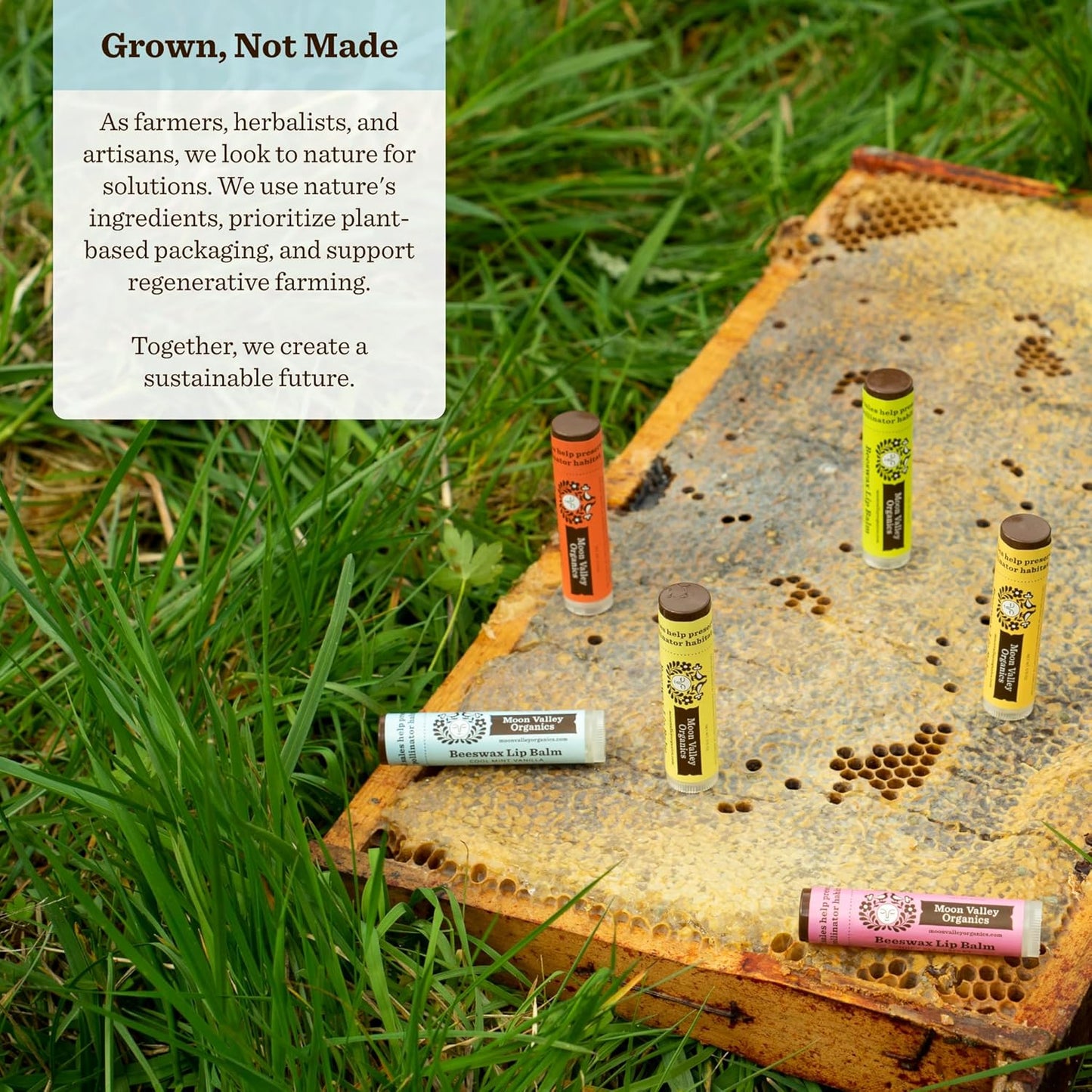 Moon Valley Organics Beeswax Lip Balm for Moisturizing Lips and Cuticles (COOL MINT VANILLA, 6-Pack)